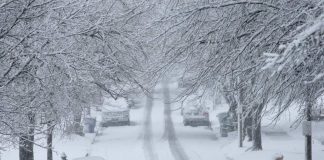 Meteo. Cum va fi vremea de Crăciun