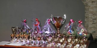Sportivii buzoieni premiați, mâine, de Consiliul Județean