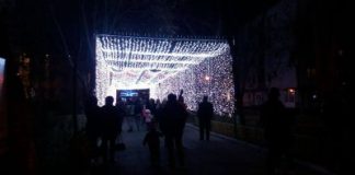 Tunelul de lumini s-a aprins. Peste 42 de mii de beculețe luminează aleea de lângă Muzeu