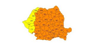 Cod portocaliu de ger, la Buzău