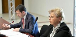 Aviz favorabil din partea comisiilor pentru Adriana Petcu, propusă ministru al Apelor și Pădurilor