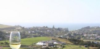 Fabrică de alcool din Buzău, sub sechestru în dosarul „Murfatlar”