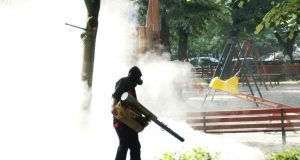 RER declară război ţânţarilor. Începe prima etapă de deratizare la sol