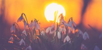 Prognoza METEO pentru 3, 4 şi 5 martie. Cum va fi vremea în primul weekend al lunii martie