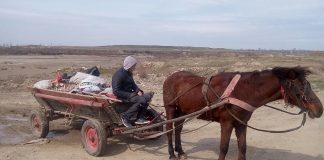 Polițiștii locali, cu ochii pe căruţaşii care aruncă moloz pe domeniul public