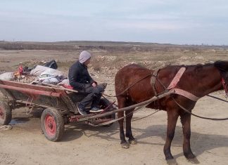 Căruțele ar putea fi interzise pe străzile din municipiul Buzău