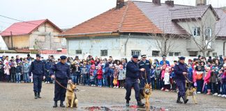 Ziua porţilor deschise la Jandarmerie. Vezi aici programul activităţilor