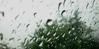 Prognoza METEO pentru 8, 9 şi 10 martie