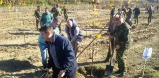 Militarii Batalionului 47 Comunicații și Informatică participă astăzi la activităţi de „Luna Plantării Arborilor”