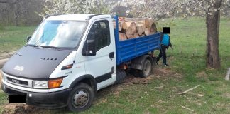 Autoutilitara folosită în transport ilegal de lemne confiscată de jandarmii buzoieni. Vezi aici cum acţiona transportatorul