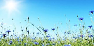 Prognoza METEO pentru 6, 7 şi 8 iulie. Vreme frumoasă