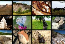 Geoparcul Ținutul Buzăului, revalidat UNESCO pentru încă 4 ani!