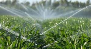 491 hectare de teren din județul Buzău, irigate. Vezi aici care este topul judeţelor la nivel naţional