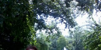 Femeia accidentată pe trecerea de pietoni de la Kaufland a pierdut lupta cu viaţa. Familia şi colegii sunt consternaţi