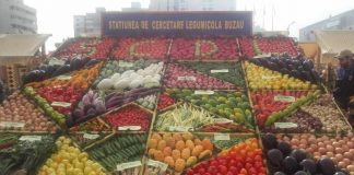 Ce aduce nou ediția de anul acesta a evenimentului „Toamna Buzoiană”!