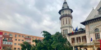 Bradul de Crăciun a fost montat în Piața Daciei. De unde a fost adus!