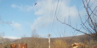 Sase femei, cazute in apa la Tisau. S-a rupt puntea cu ele