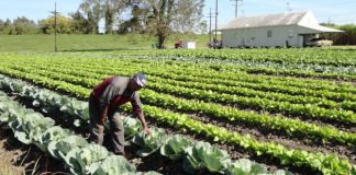 Veste bună pentru locuitorii din Verneşti. Fonduri europene PNDR: sesiune de depunere prelungita