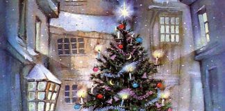 Bradul de Crăciun, între legendă şi realitatea de astăzi