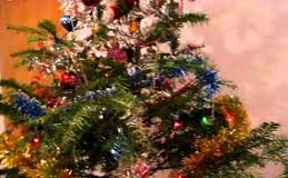 Bradul de Crăciun poate crea și probleme. Care sunt recomandările pompierilor buzoieni!