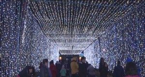 Luminițele de la Consiliul Județean și de la Muzeu au fost aprinse