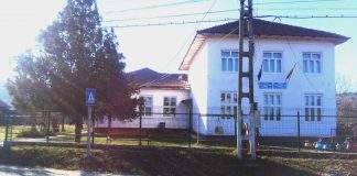 FOTO Eveniment cultural inedit și deosebit, găzduit de școala din satul Scărișoara