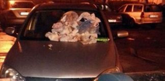Cu gunoiul pe parbriz! Un șofer a fost sancționat de vecini