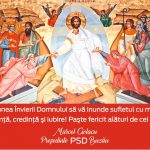 347c3917-3827-4372-9209-e5efde46d6a3