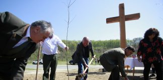 Centenarul Marii Uniri, marcat prin plantarea a 1000 de arbori, la Tisau
