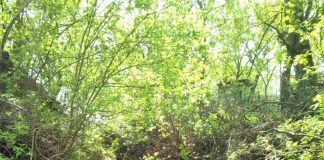 Jandarmii au dus in spate pana la Ambulanta un barbat suferind