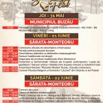 Buzau Fest Flyer Program Online