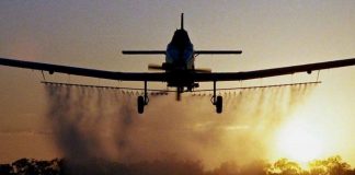 Începe campania de dezinsecţie în municipiu, atât la sol, cât şi din avion