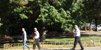 Căprioară găsită de poliţiştii locali pe o stradă din Buzău