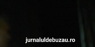 Bătăuşul de la Mărăcineni, în libertate. Explicaţiile poliţiştilor, surprinzătoare
