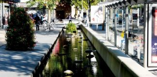 Iazul Morii, reamenajat