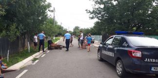 ATENȚIE, imagini șocante! Cal omorât in bătaie de un bărbat beat