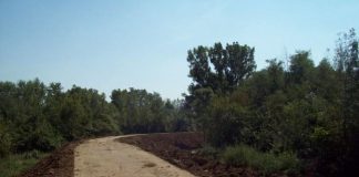 Problema digurilor vechi, adusă în actualitate de inundaţiile din ultimele zile