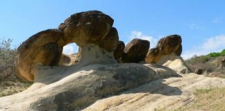 Un muzeu inedit, intr-o localitate buzoiana