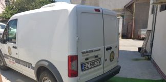 Porci omorati de medici, chiar in masina cu care erau transportati