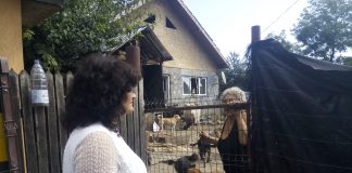 Prefecta Carmen Ichim, vizită-fulger la Pîrscov. A dispus măsuri de urgență