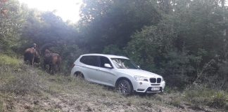 GPS-ul a bagat o soferita in namol. Masina, scoasa cu ajutorul a doi cai