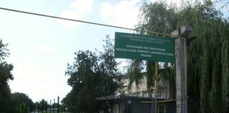 O noua reușită la SCDL. Premiu internațional adus la Buzău