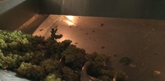 Sfarsit dramatic pentru un barbat la o casa de vinuri din Vernesti