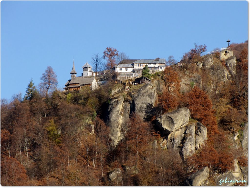 cetatuia