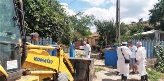 Un nou focar de pestă porcină la limita cu județul Buzău. Rușețu, comuna cea mai apropiată