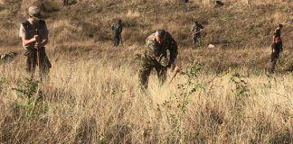 6000 de puieți de salcâm, plantați de militarii din garnizoana Buzău