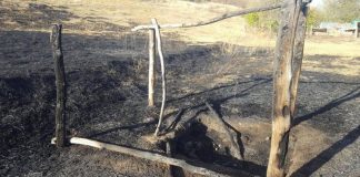 Parcul Arheologic Cârlomănești, mistuit aproape în totalitate de incendiu