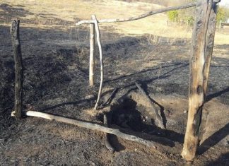 Parcul Arheologic Cârlomănești, mistuit aproape în totalitate de incendiu