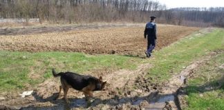 Bărbat de 80 de ani, dispărut fără urmă. Este căutat de zeci de persoane