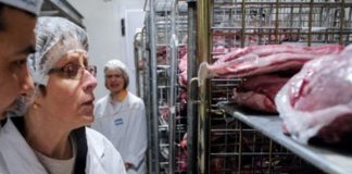 Pânze de păianjen și lipsa condițiilor igienico-sanitare, printre neregulile descoperite de inspectorii DSV la Buzău